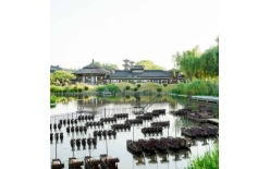 武汉团建活动新思路：如何让旅行式团建真正赋能本地团队